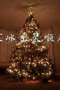 新版本寒冰出装顺序(新赛季更新才两天，守约全新出装彻底火了！胜率飙升全靠寒霜袭侵)