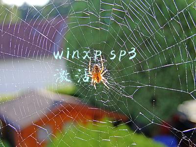 winxp sp3 激活