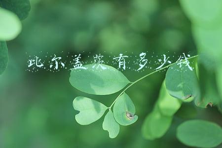 比尔盖茨有多少钱2021(最新统计出炉！世界十大富豪2021年净资产共增加超4000亿美元)