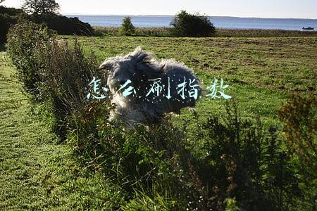2018百度刷指数方法(课虫会：抖音如何查询“抖音指数”？其实是有官方工具的)