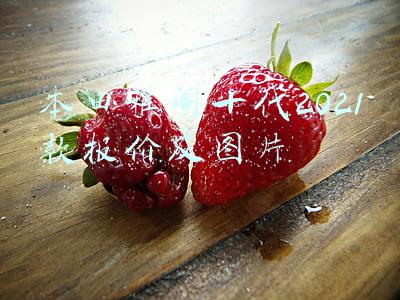 本田雅阁十代2021款报价及图片白色(新款本田雅阁购车手册：16.98万元起售，哪款配置值得买？)