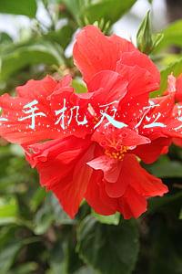 安卓手机反应变慢