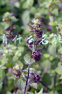 北京有什么名胜古迹和代表性建筑(带孩子翻开北京中轴线建筑群的古今变化)