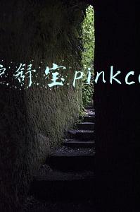 护舒宝pinkcess