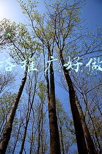 网络推广好做吗