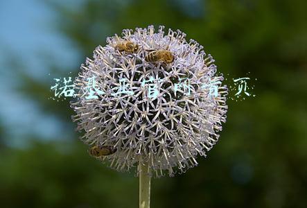 诺基亚官网首页