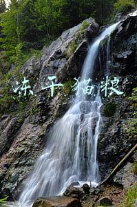冻干猫粮和普通猫粮哪个好(大家都在鼓吹的冻干猫粮真的更好吗？)