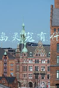 彩虹岛灵宠有什么用