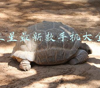 三星最新款手机大全
