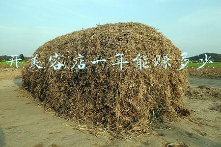 开美容店一年能挣多少钱_开美容店一年能赚多少钱