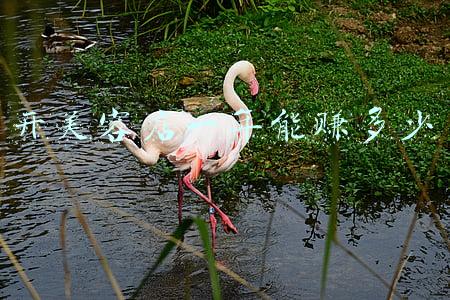 开美容店一年能赚多少