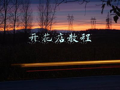 开花店教程