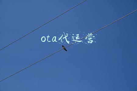 ota业务(“新态势”下的OTA平台：数字化改造与出境游回流深探)