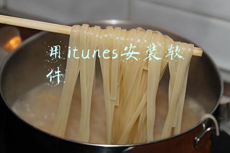 用itunes安装软件