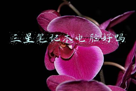 三星笔记本电脑电池(存在起火隐患 三星、戴尔召回3.73万块笔记本电脑电池)
