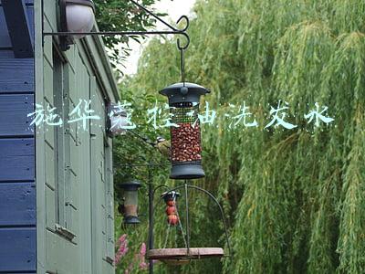 施华蔻控油洗发水