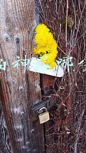 自拍神器哪个好