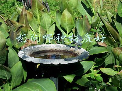 奶瓶哪种材质好哪个品牌好(宝宝奶瓶怎么选？花爸带你了解市面上常见的奶瓶材质)