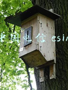 中国电信 esim