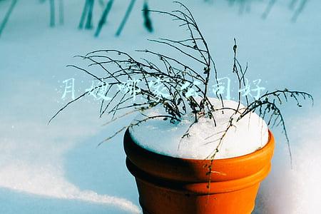 找月嫂公司(怎么加盟月嫂公司？月嫂加盟哪家好？)