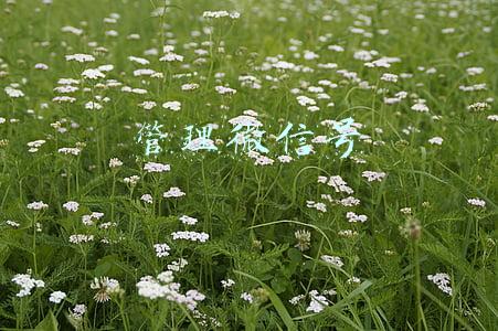 管理微信号