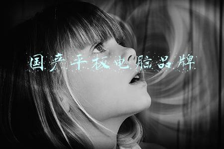 国产平板电脑品牌
