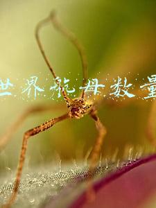 世界航母数量排名(各国航母数量和战斗力排行榜)