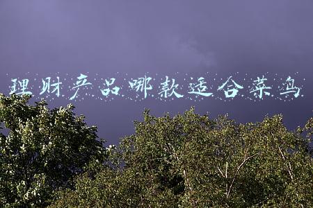 理财选择什么理财产品(新规时代还有哪些保本理财产品可选？)