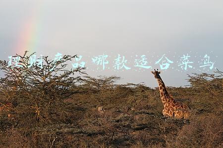 适合老年人的理财产品(老年人应该如何理财？买房可以吗？看看大家熟悉的这些理财方式)