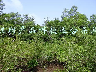 理财产品a款和c款区别(同一只基金的A类C类有什么区别？定投选哪个好？)