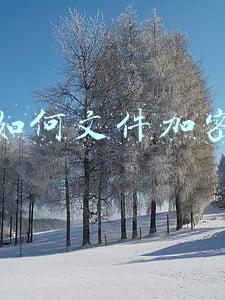 电脑如何文件加密(玩了十年的电脑，原来Word文档加密的方法这么简单，涨知识了)