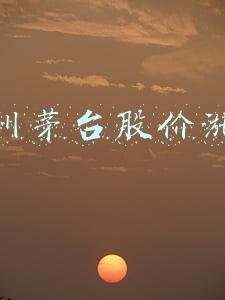 贵州茅台股价涨停