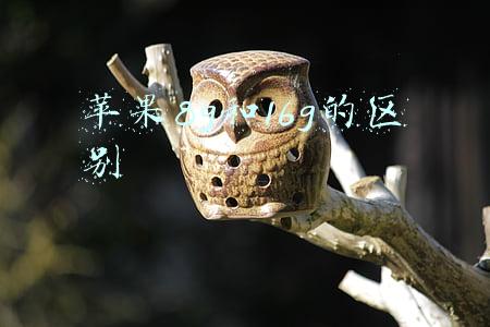 苹果8g和16g的区别