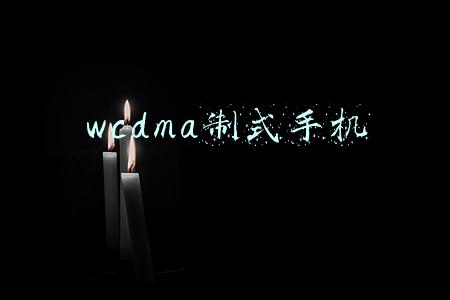 wcdma制式手机有哪些(5模13频走全球 目前支持多制式手机盘点)
