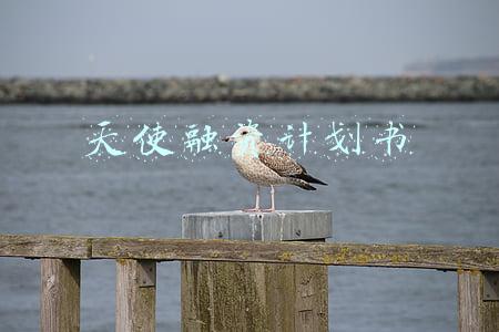 天使融资计划书
