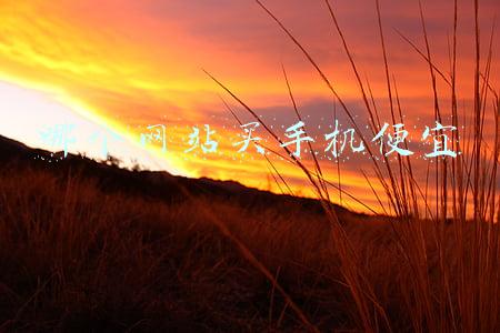 哪个网站买手机最便宜(捡漏党赢了！2021年底，多款旗舰手机“喜迎”大降价)