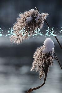 中安信业创业投资有限公司