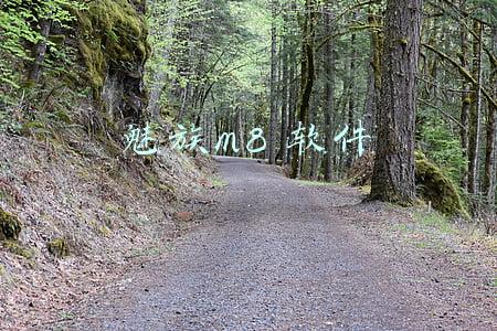 魅族m8 软件