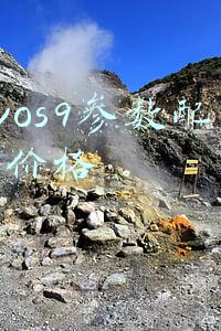 vivos9参数配置及价格