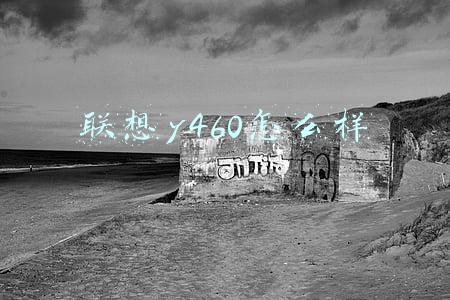 联想y460怎么样