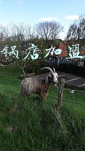 傣妹加盟费多少_傣妹加盟费及加盟条件