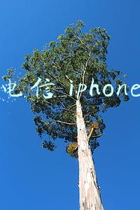 电信iphone13合约机(外卖可分期购iPhone 13，运营商合约机能降千元)