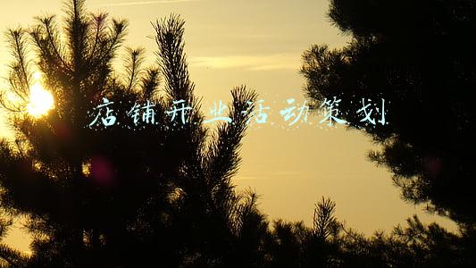 开业方案策划(你知道开业流程有哪些吗？看这里)