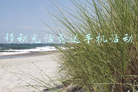 移动充话费送手机活动