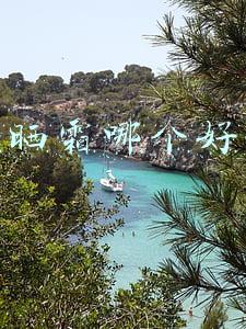 防晒霜哪个好用