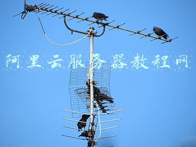 阿里云服务器教程网