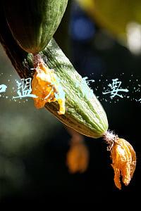 三津灌汤包加盟费多少_汤包加盟费多少