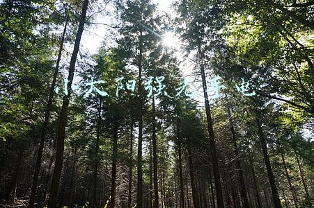 小太阳强光手电