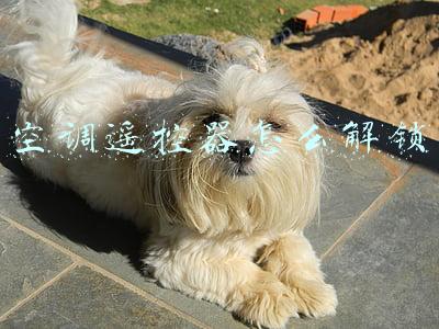 海尔空调遥控器怎么解锁(海尔线控器查故障、查参数及加锁)