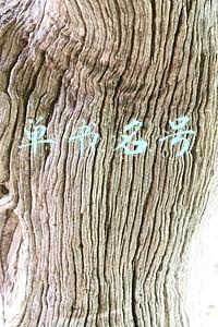 单书名号